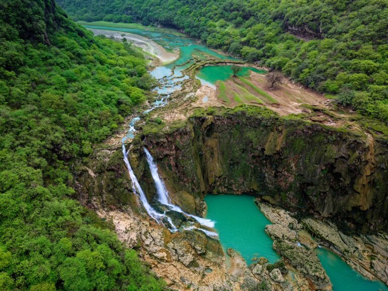 Under the Theme “A Cooler Summer”… Sultanate of Oman Launches “Dhofar Khareef 2026” with Renewed Events and Expe...